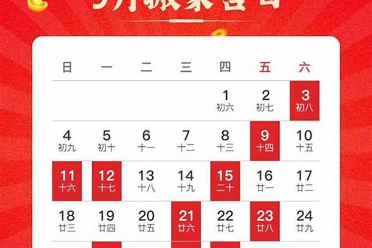 2002年属马女士[23岁]2025年运势解析,看看每个月的关键机会