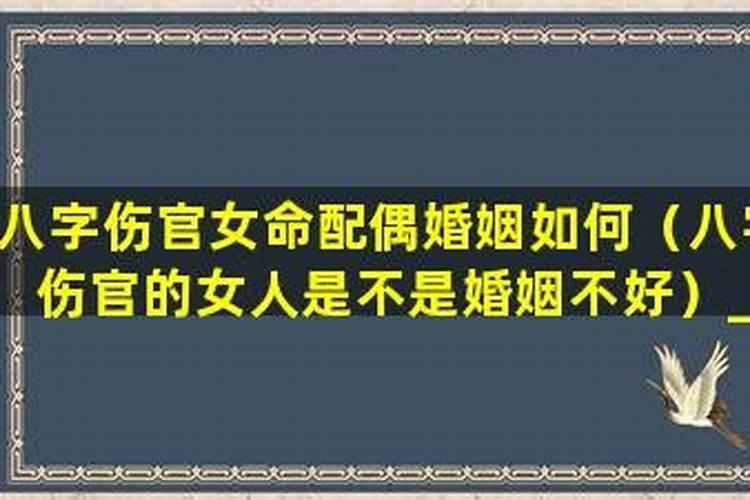 伤官旺的女命