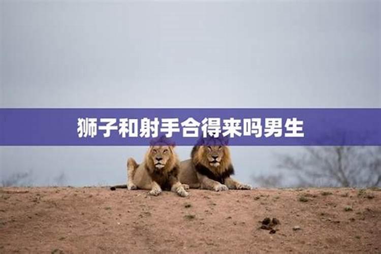 狮子座和射手座配吗