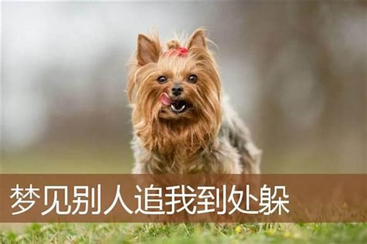 梦见有人追我我拼命跑有什么预兆