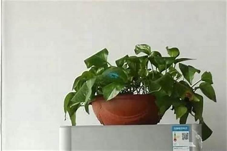 四库四财什么意思