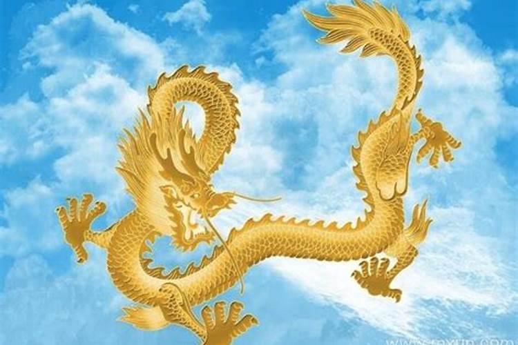属狗的爸和属猪的妈生虎宝宝好吗 增旺运势组合合适？