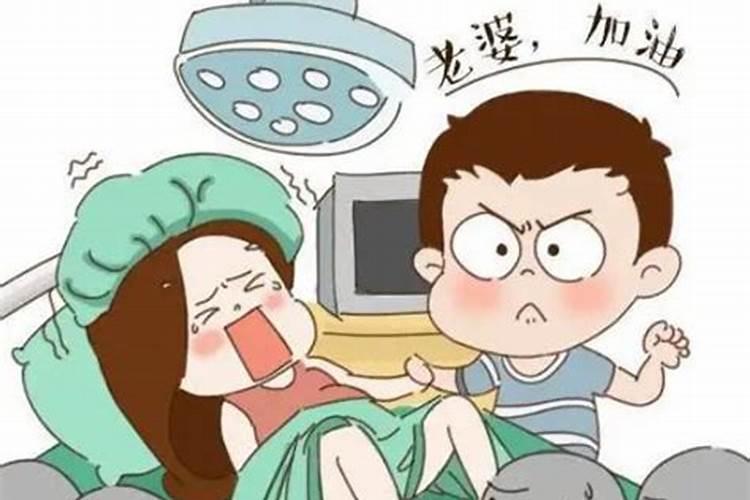 梦见老婆怀别人孩子的预兆