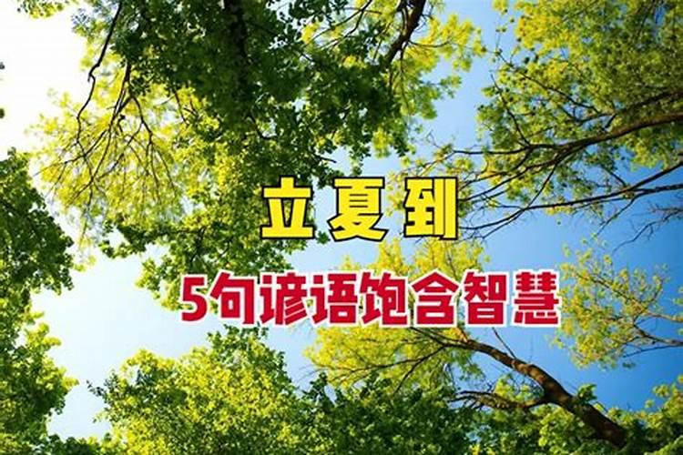 2025年71年属猪每月运势