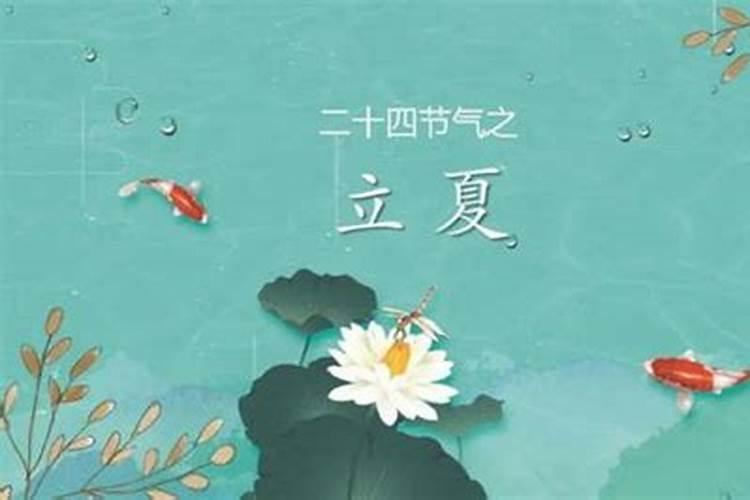 2025属猪人的全年每月运势