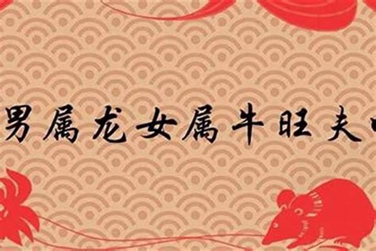 81年属鸡的女人和85年属牛的男人能在一起吗