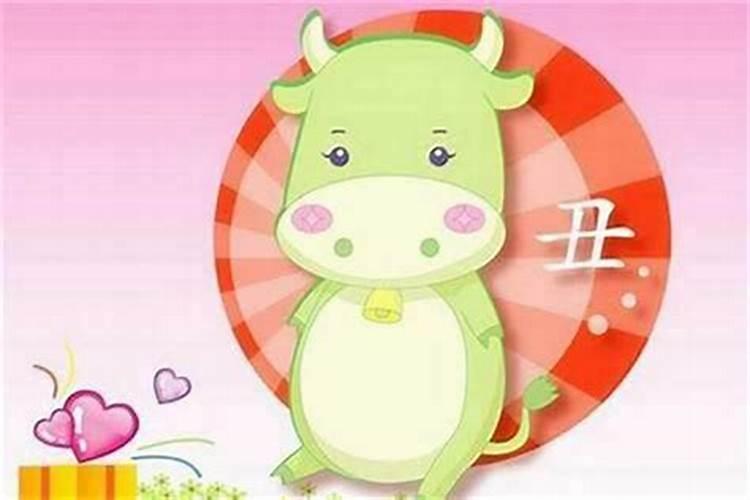 冬至生日的人好不好