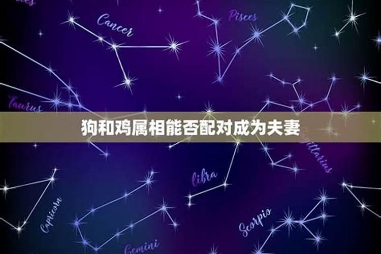 男女合婚的几种形式