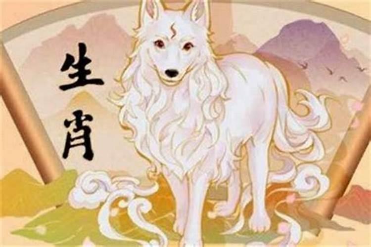 2024年属狗人每月运势及运程如何