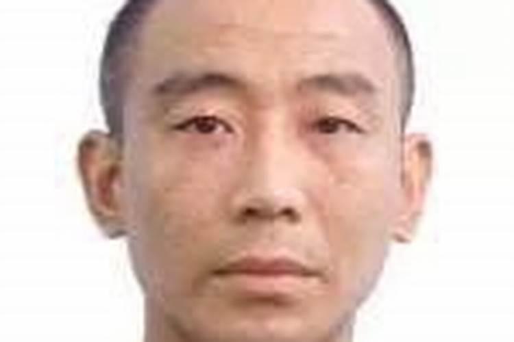 梦见被大狗咬住手不松口