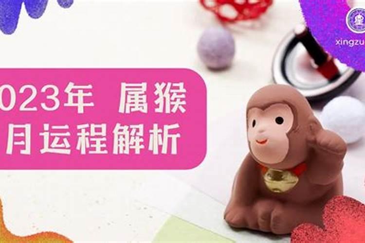 2025属猴人每月运势及运程如何