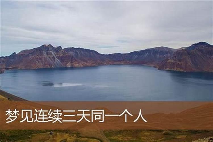 2025年属兔运势
