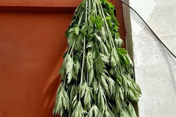 端午节艾草挂门外还是门里