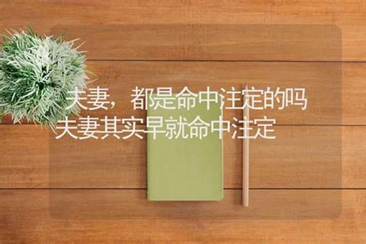 生辰八字吉祥数字查询生辰八字数字对照表