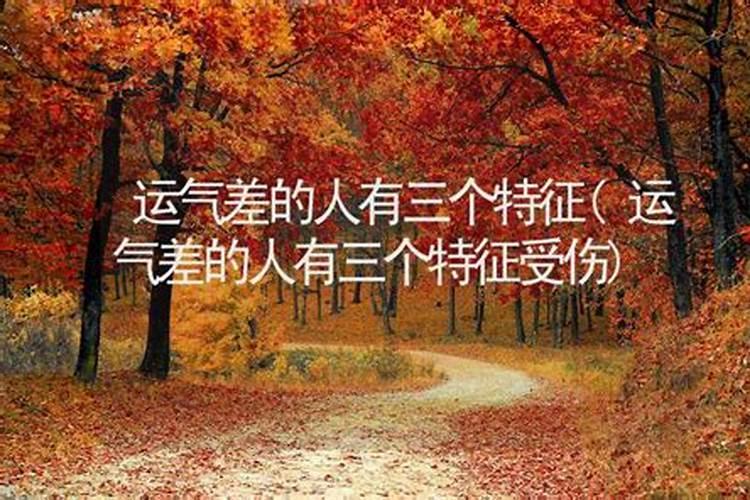 冬至的来历和风俗 南北方不同的传统风俗