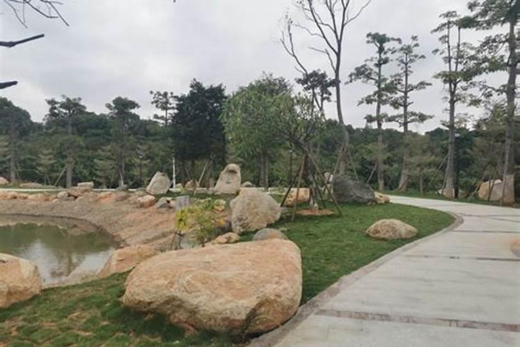 子时是属阴还是属阳这个问题问了很多次,每次答案都不一样？能确切的说...