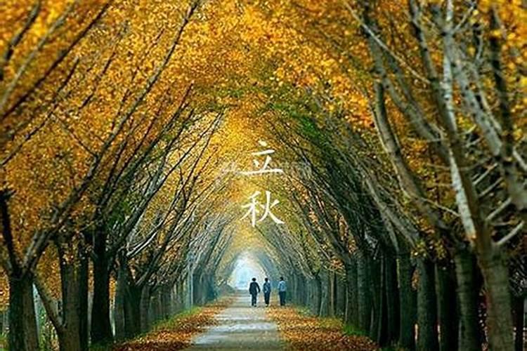 属马的幸运数字是多少