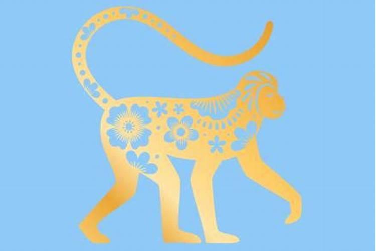 2025属猴今年有一难 2025年属猴人命运如何