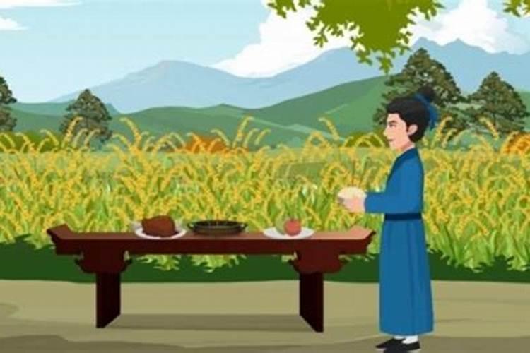 重阳节有什么花？