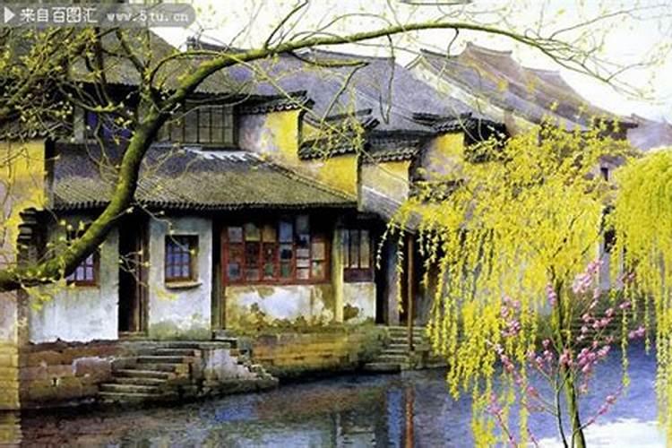82年正月初一到底属什么