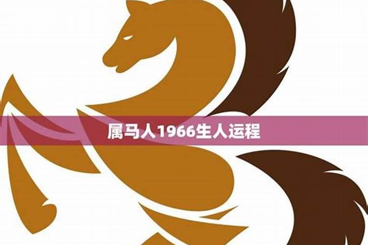 梦到抱着别人的老婆溜达