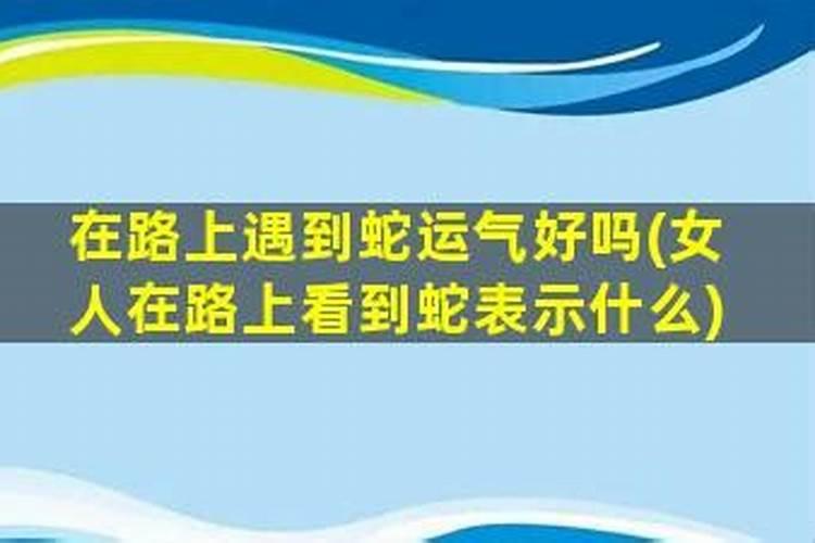 看见蛇过路有什么兆头看见蛇有哪些预兆