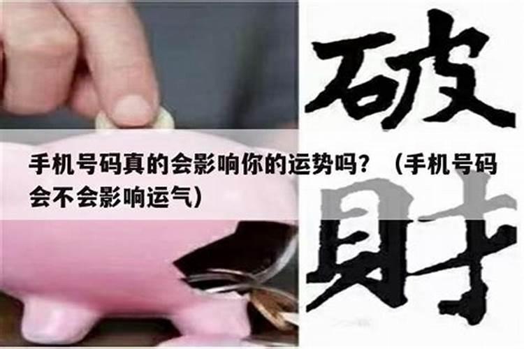 1977属蛇2024年以后未来的运气如何