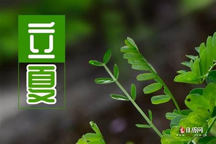 为什么要远离小人