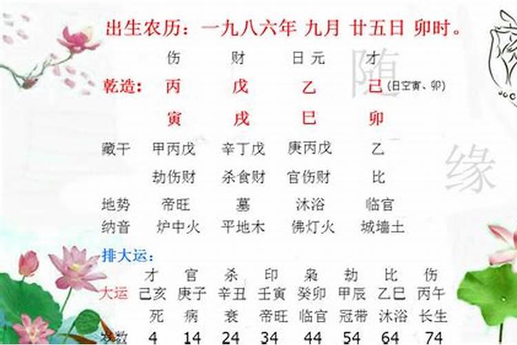 八字争合怎么理解