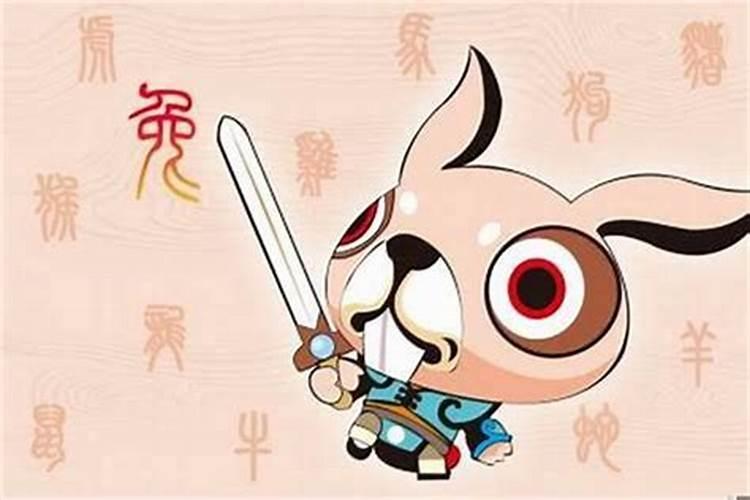 属兔的人2020怎样躲太岁最吉利旺运