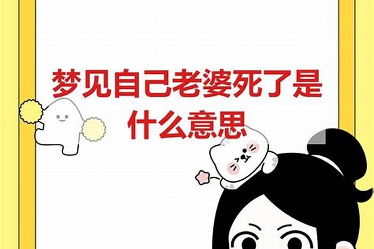 生肖马的一生命运如何