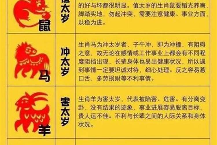 有没有男羊女狗结婚的 婚姻怎么样