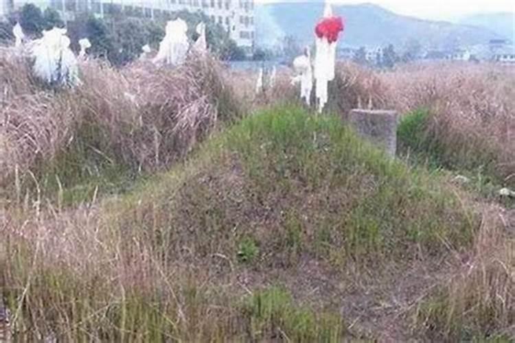 清明节坟上的草能拔吗