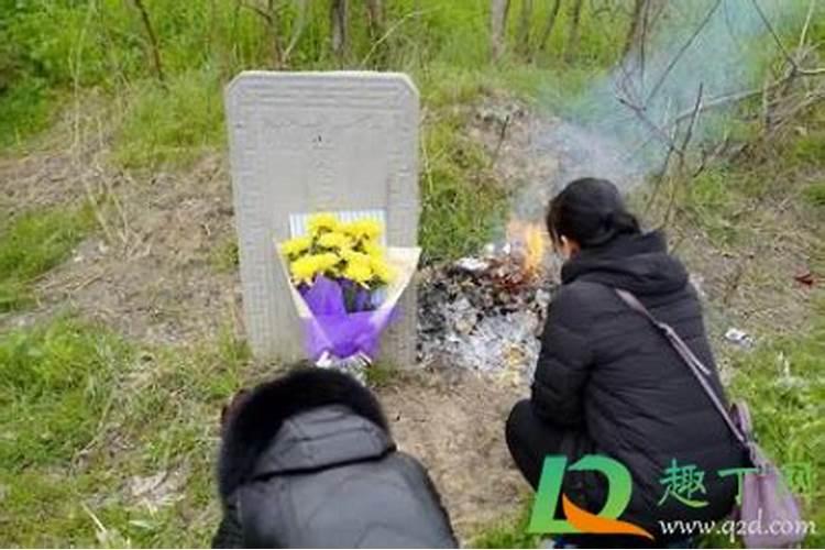 清明节上坟坟上的草能拔吗 扫坟可以拔草吗