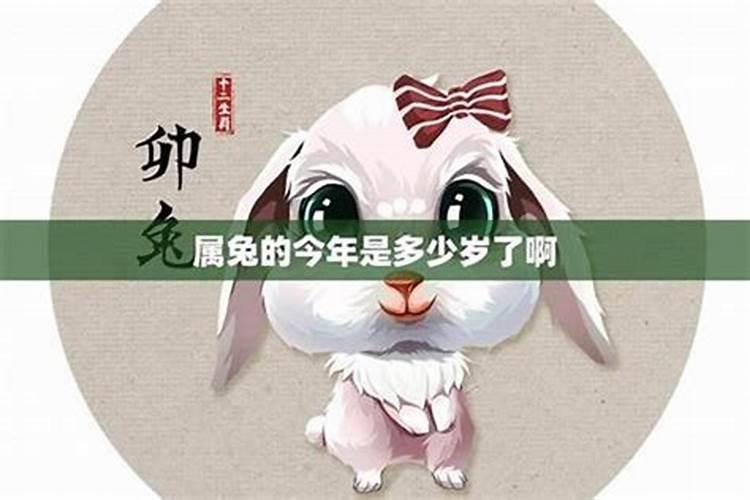 占星骰子两个人彻底结束了么 占星骰子11宫代表的感情？