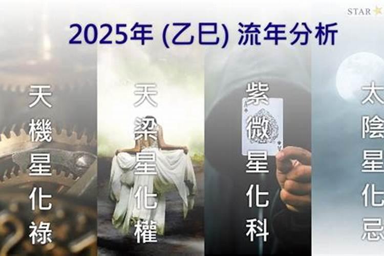 属鸡的人遇蛇年运势如何