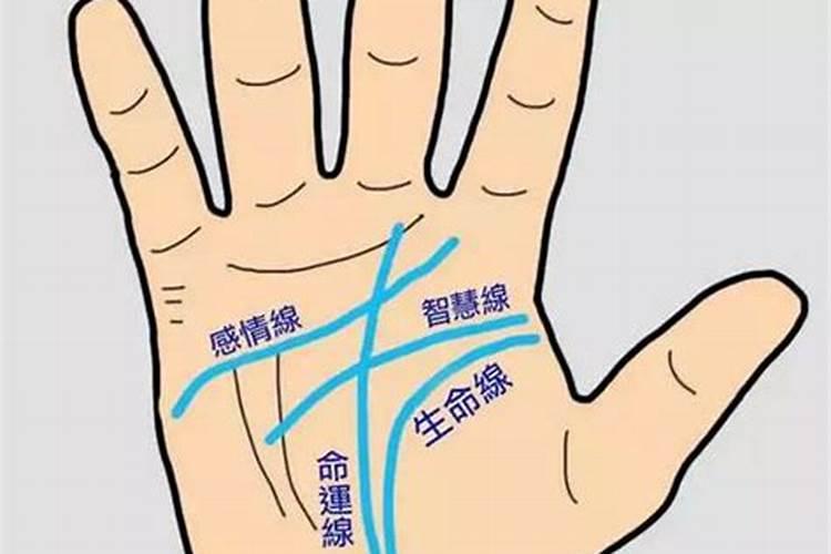 属牛2025年犯太岁吗