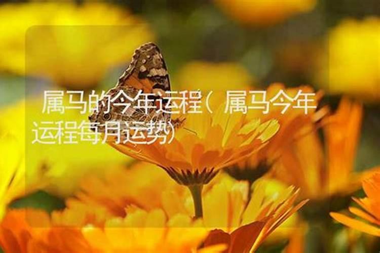 学习八字预测要多久能学会？