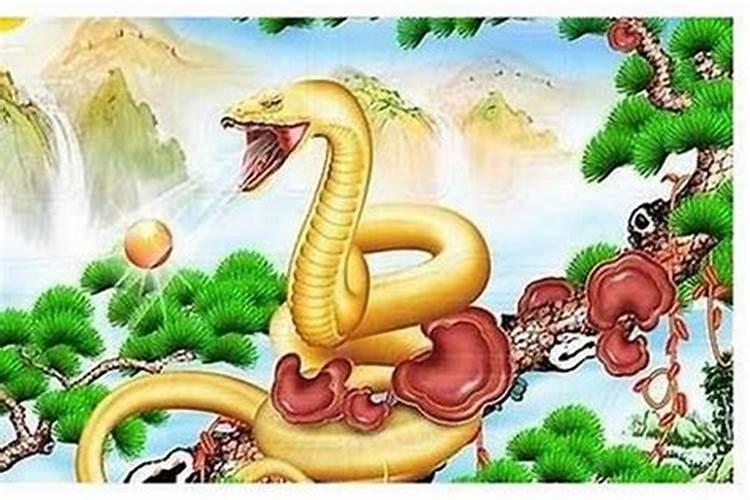 有没有属猪和属蛇的结婚的 可以化解吗