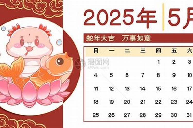 属猪的和属蛇的合不合？？