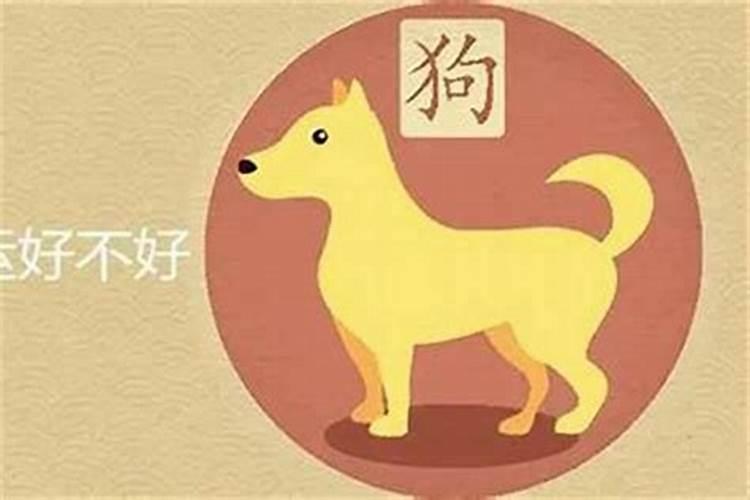 生肖狗1994年2025年运势如何 生肖狗1994年2025年全年运势