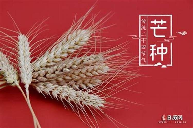 夏至出生的人是什么命那天出生好吗？