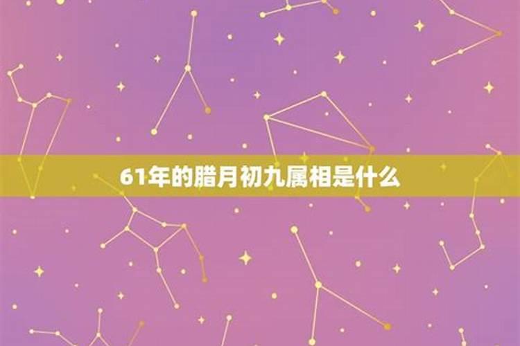 1966年农历十二月初九出生,是什么命。什么命？