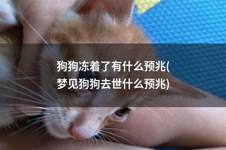 做法事后的注意事项做法事后需要注意的方面