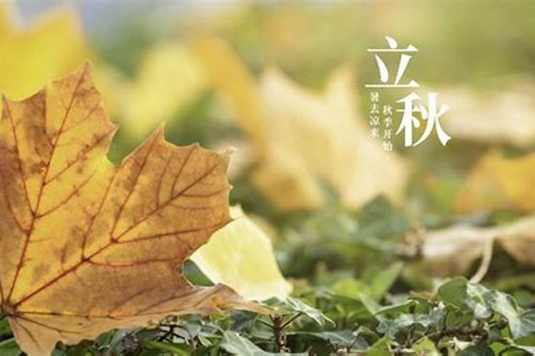绍兴立秋吃什么传统食物 立秋为何要吃赤小豆