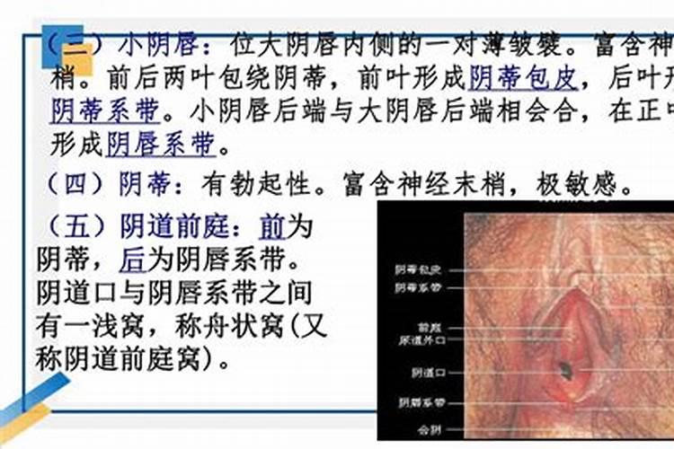 我是1996年冬至那天出生的请问那是几月几日