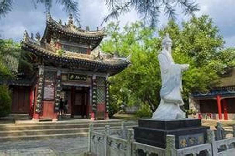 农历十一月出生的猪宝宝是什么命
