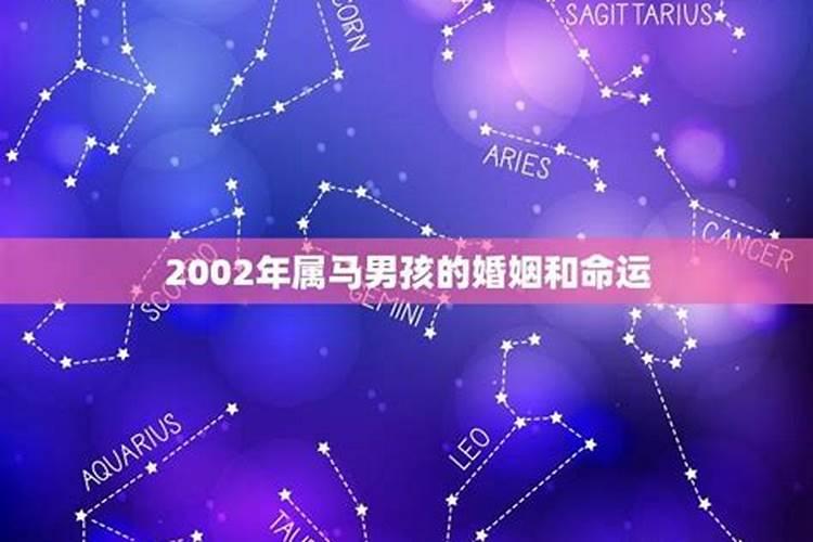 2002年属马的男孩婚配2002属马最佳结婚年龄