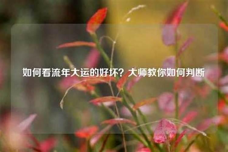 八字沐浴的意思是什么