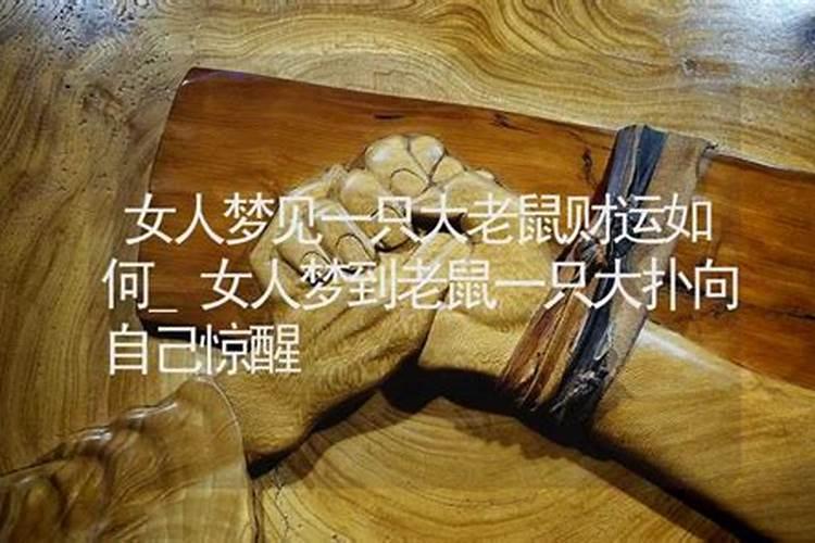 属龙在2025蛇年的运气